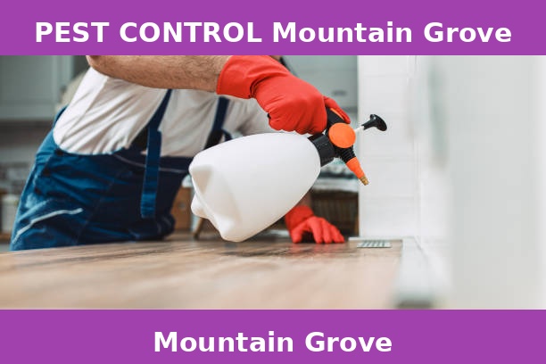 PEST CONTROL Mountain Grove